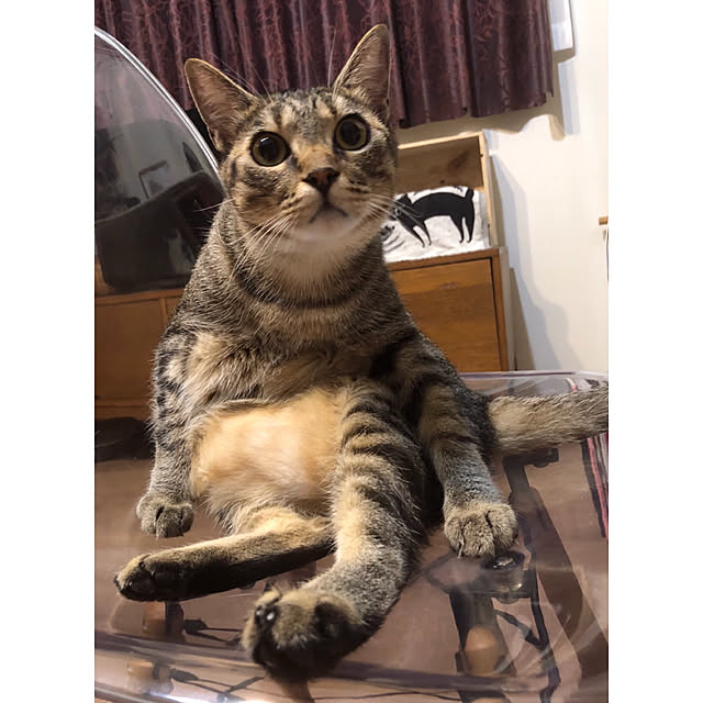 mikomaruさんの実例写真