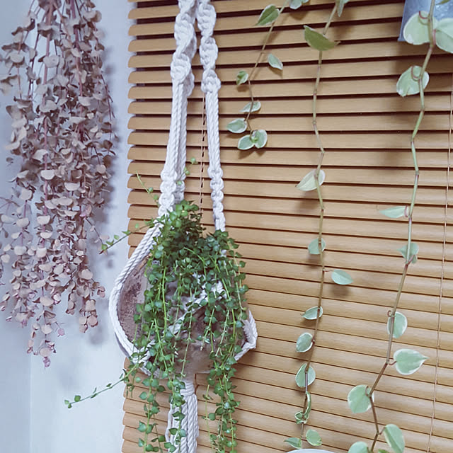 ponさんの実例写真