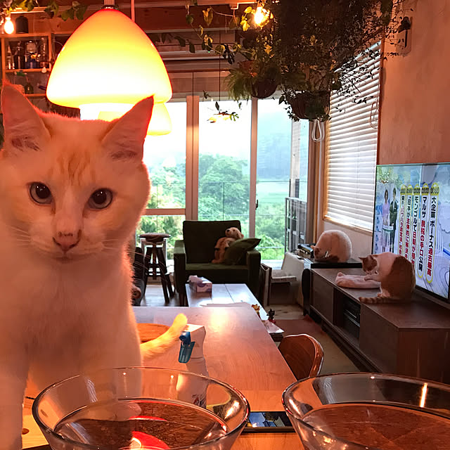 sakurasakuさんの実例写真