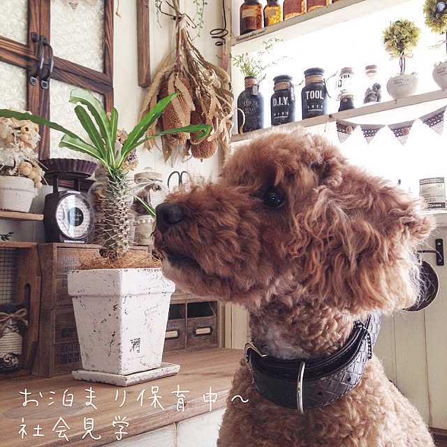 arch.to.meetさんの実例写真