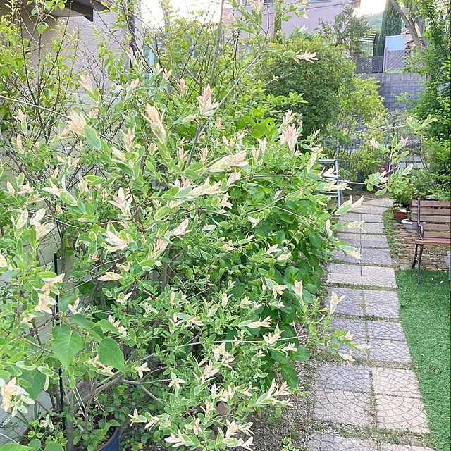 min_nimさんの部屋