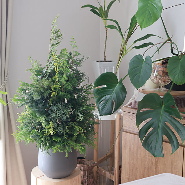 Summerさんの部屋