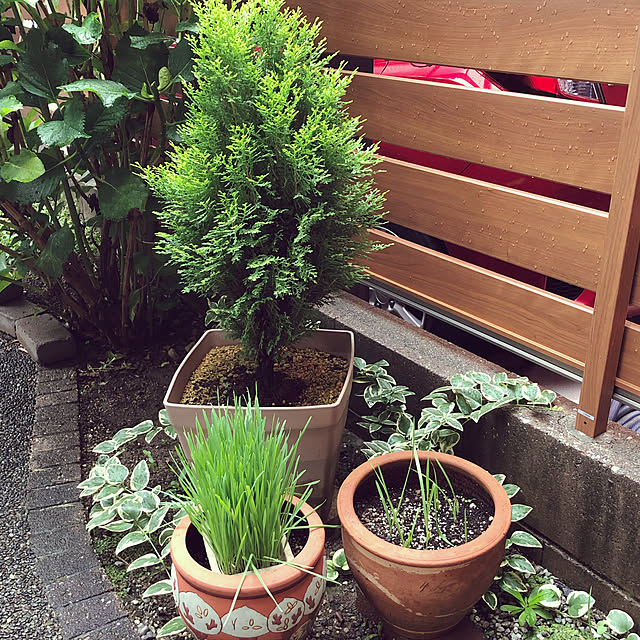 haruminさんの実例写真