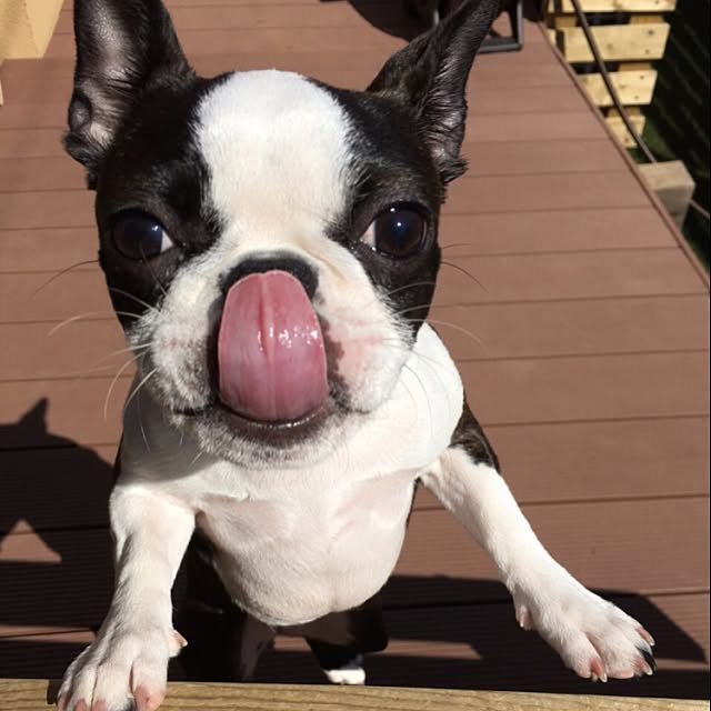 yumiさんの実例写真