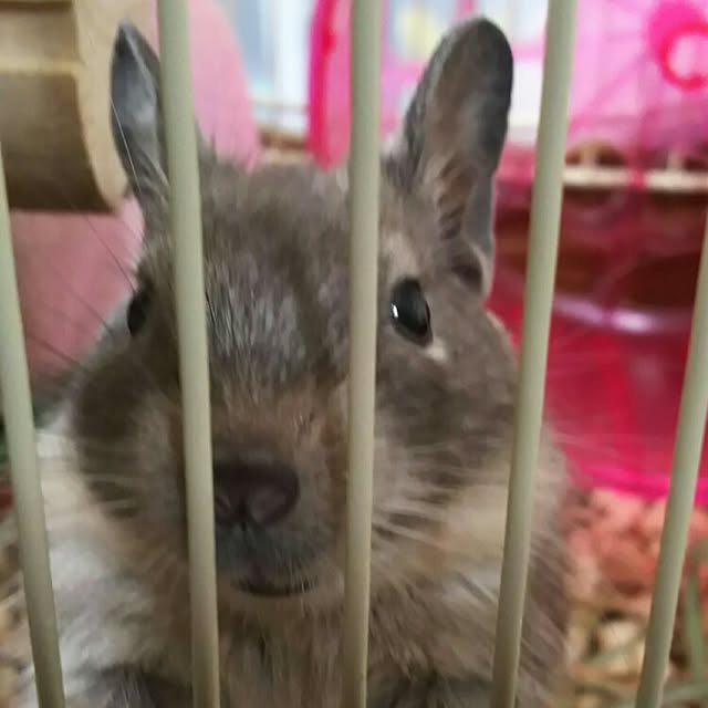 KOHAKUさんの実例写真