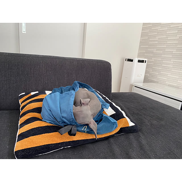riakanaさんの実例写真
