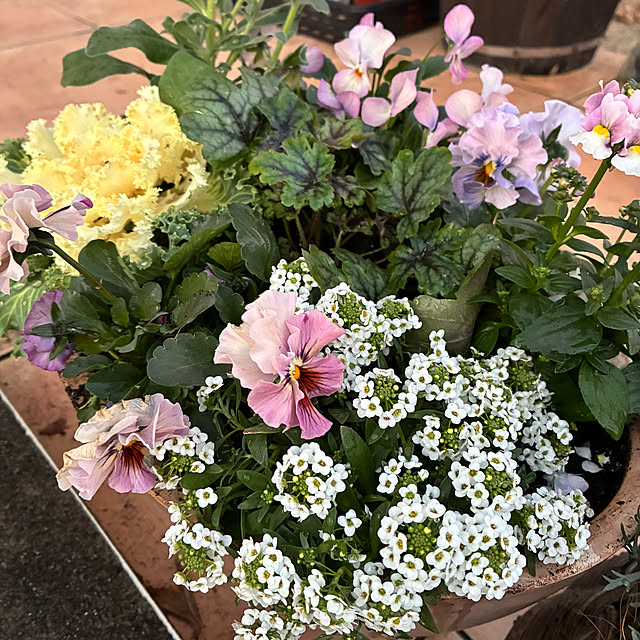 leepo5さんの部屋