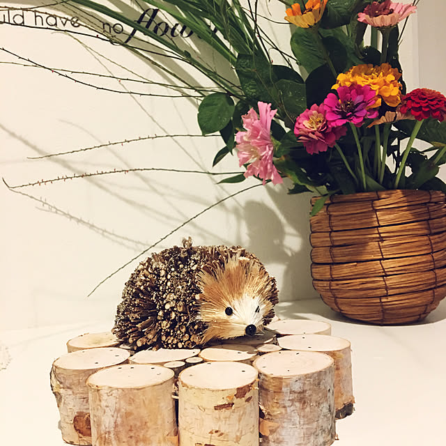 Sakura_hanaさんの実例写真