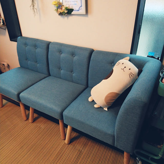 Mikaさんの実例写真