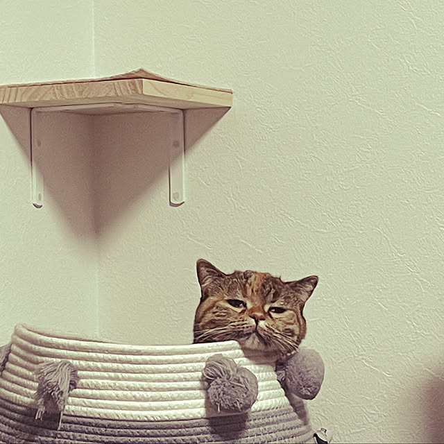 zuuさんの実例写真