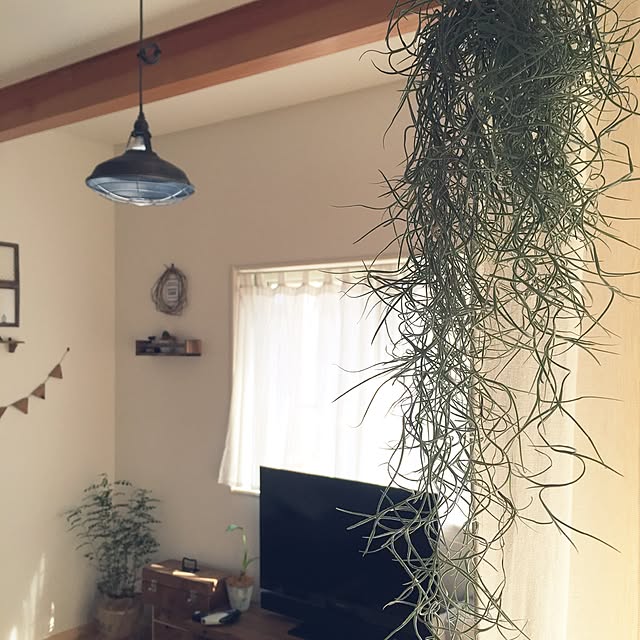 ayaさんの実例写真