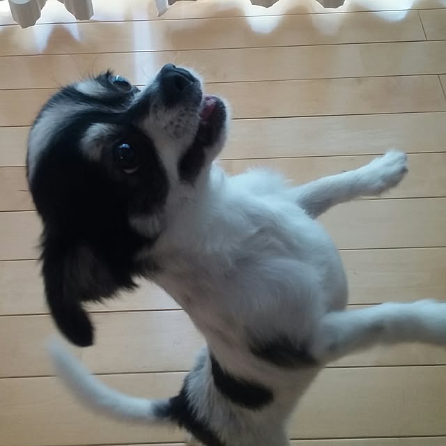 yukkoさんの実例写真