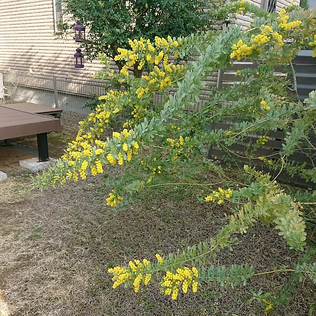 urchinさんの部屋