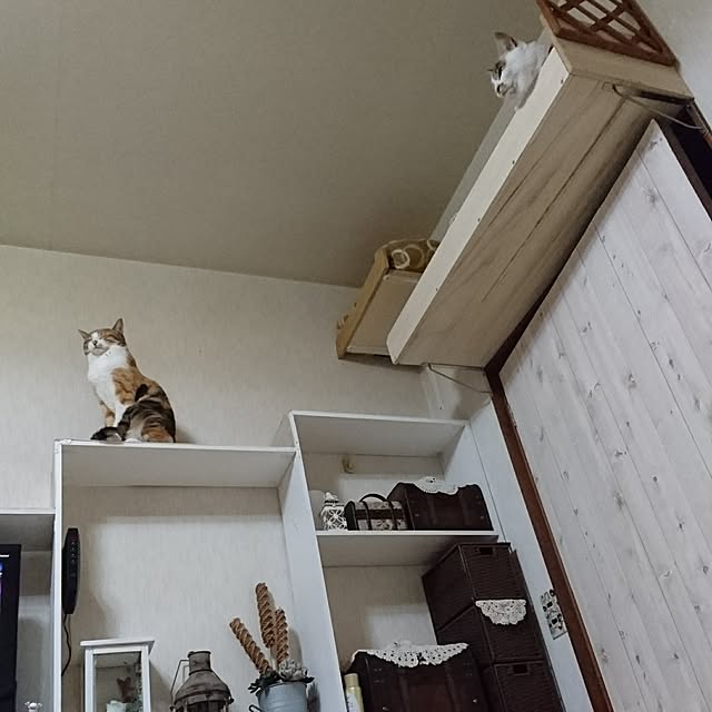 taleo07さんの実例写真