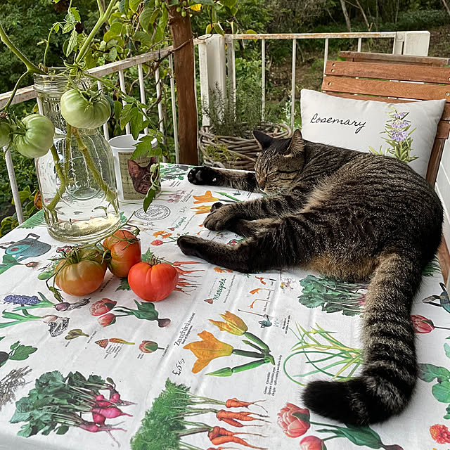 weさんの実例写真