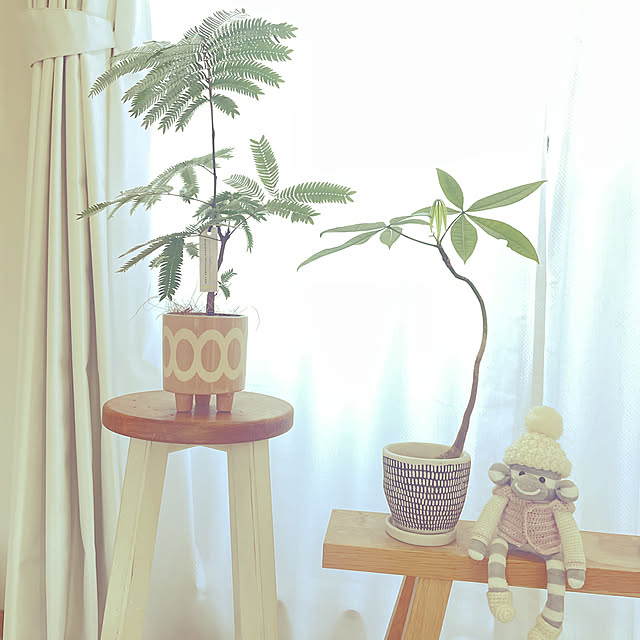 cocoさんの実例写真
