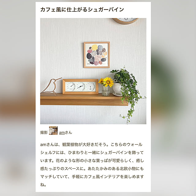 実例写真