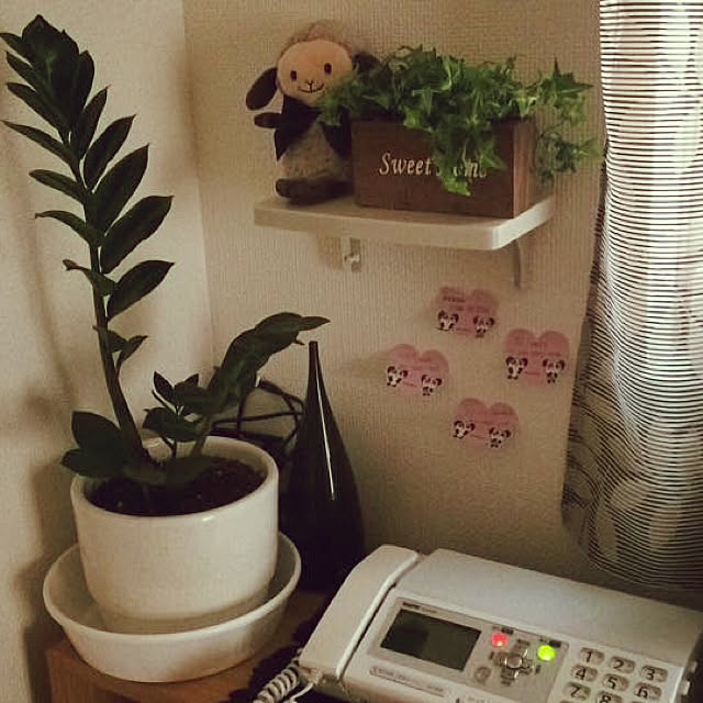 棚/DIY/ダイソー/ナチュラルのインテリア実例 - 2017-10-15 20:54:43