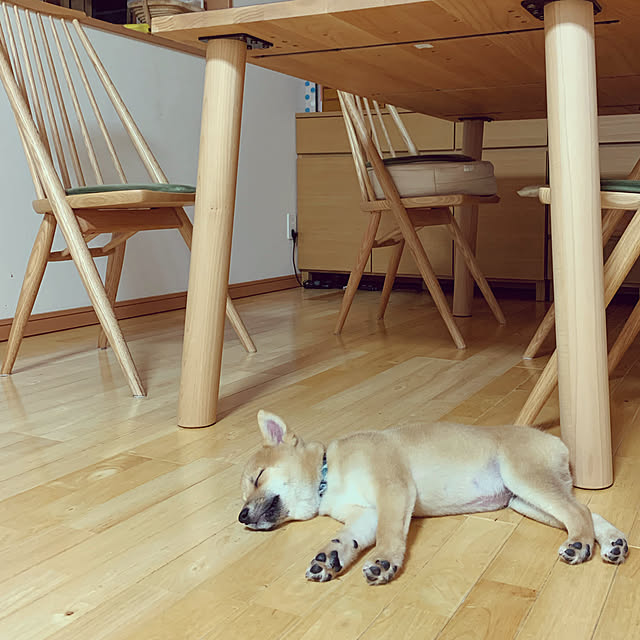 yuさんの実例写真