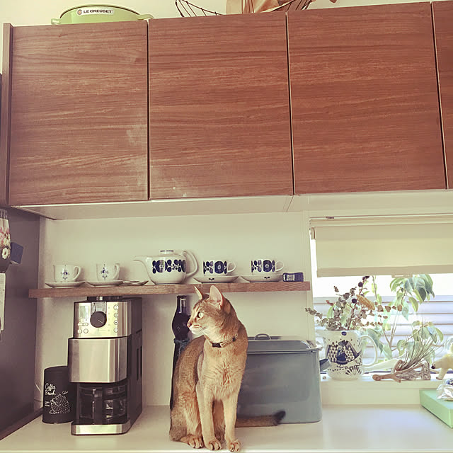sakineko528さんの実例写真