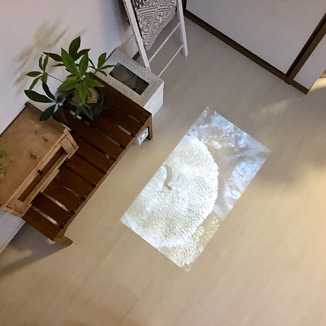 Kaneyukiさんの実例写真