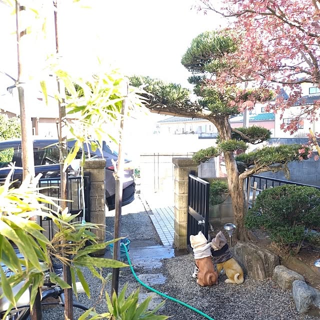 NOAHさんの部屋