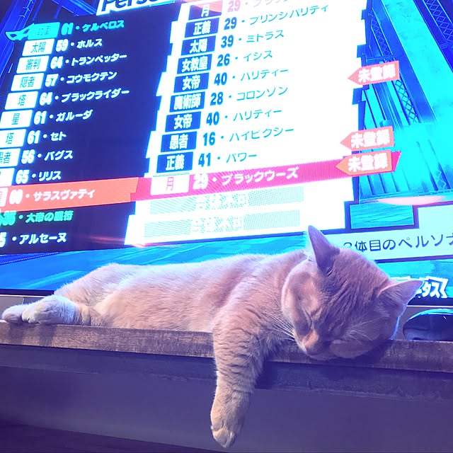 amo69xxさんの実例写真