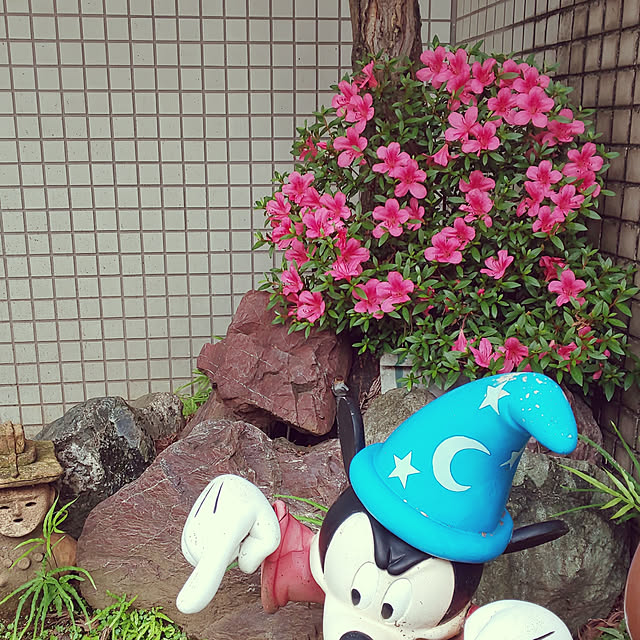 kumimmyさんの実例写真