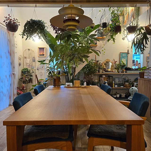 nonbiri_house_さんの部屋