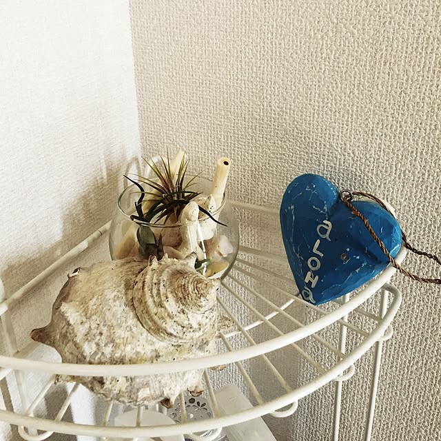 Naokoさんの実例写真