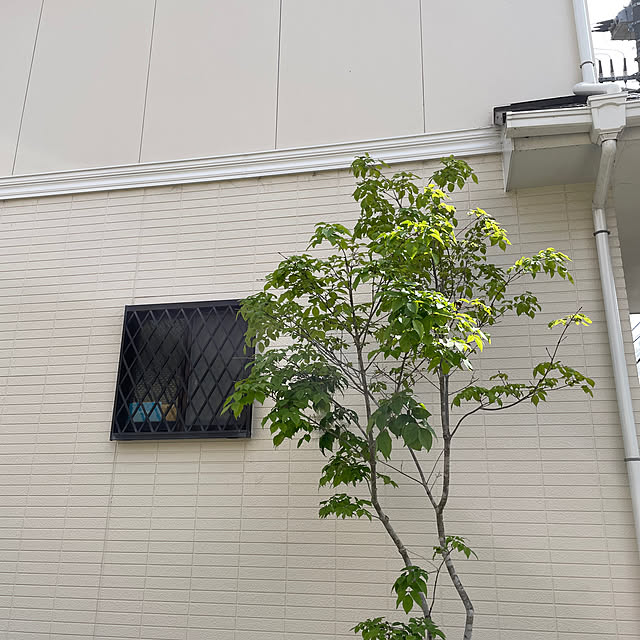 wanchanさんの部屋
