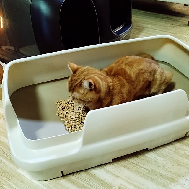 runaさんの部屋