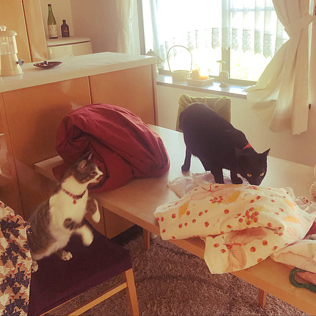 jijiさんの実例写真