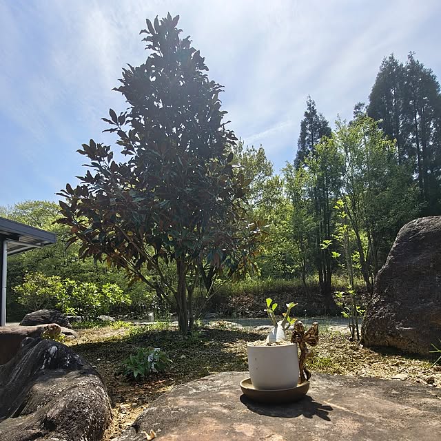 Rubiconさんの部屋