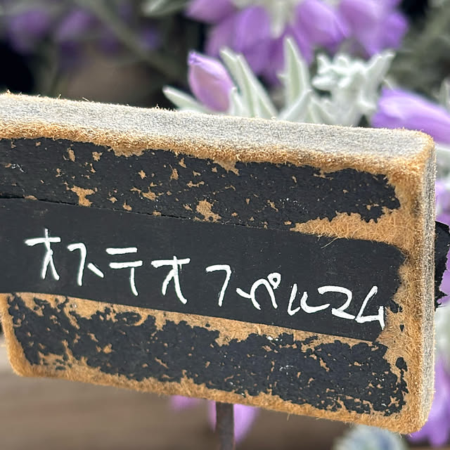 syutmmさんの部屋