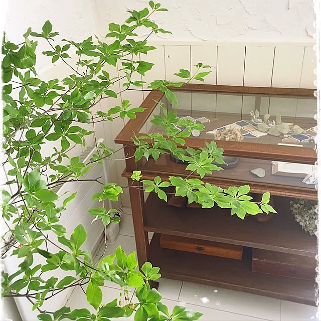 mocoさんの実例写真