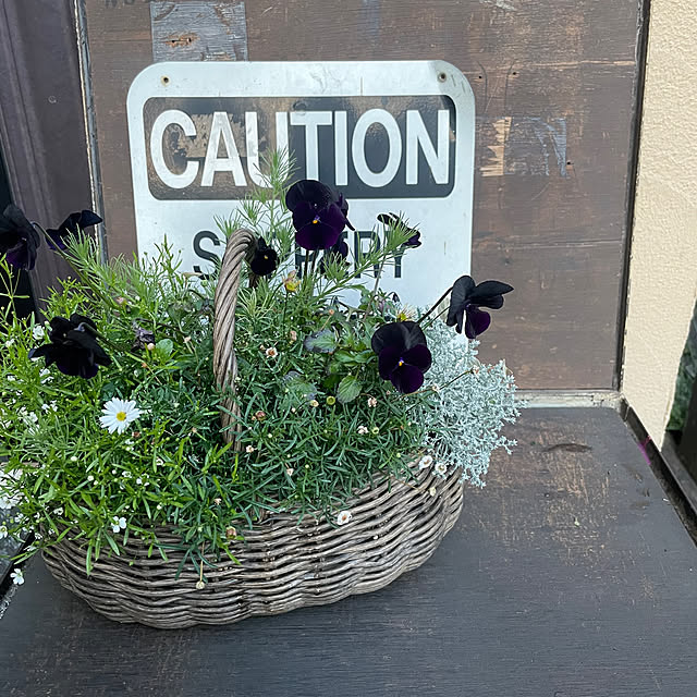 Rt_styleさんの部屋