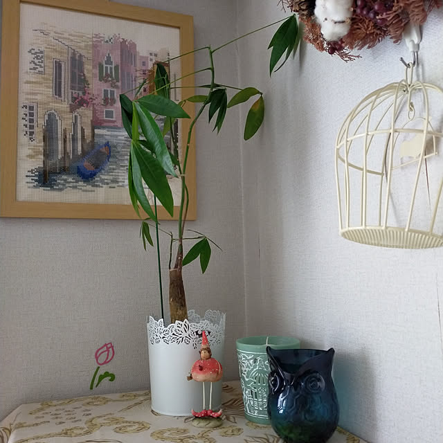 72matoさんの実例写真