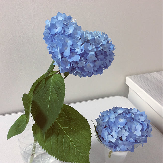 windbellさんの実例写真