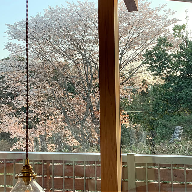 syumijinさんの実例写真