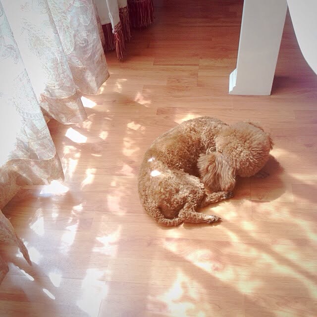 maylieさんの実例写真