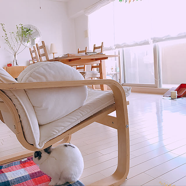 luluさんの実例写真