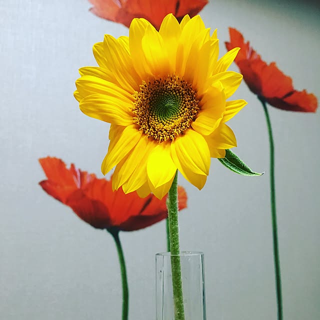kaoroomさんの実例写真
