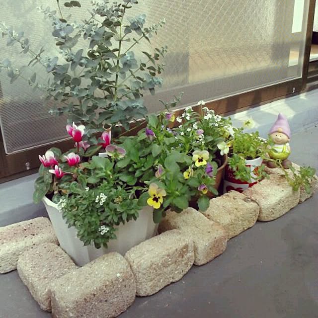 pikakoさんの実例写真