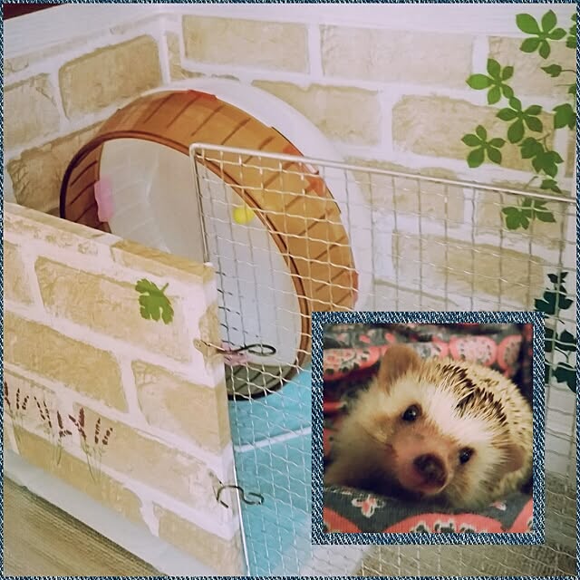 kuruさんの実例写真