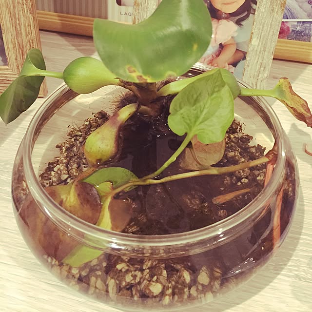 tom_jellyさんの実例写真