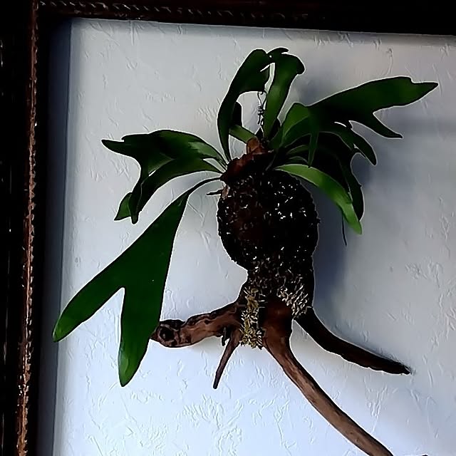 YUKA197312さんの部屋