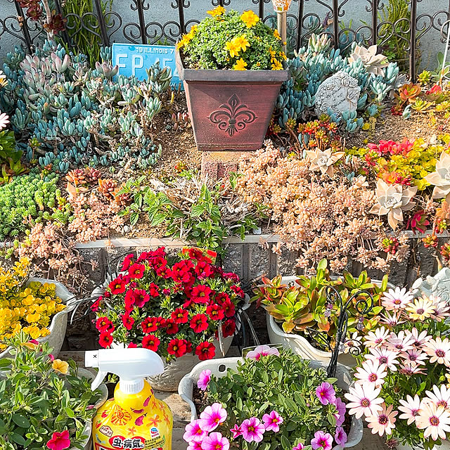 mukkuさんの実例写真