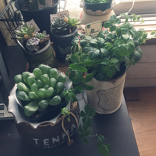 tenmaruさんの実例写真