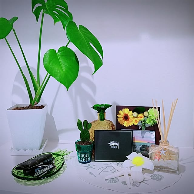 実例写真